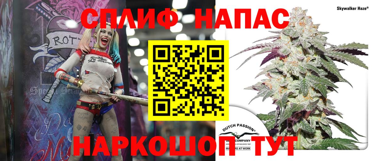Марихуана сатива Крымск